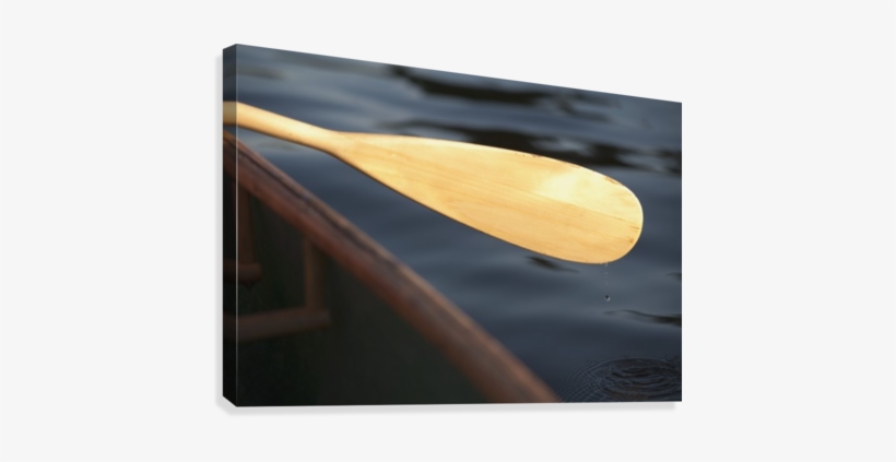 Canoe Paddle Canvas Print - Plywood, transparent png download