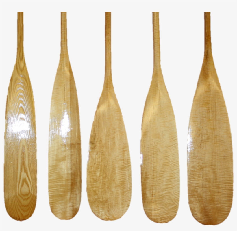 Curly Maple & Ash Canoe Paddles - Ash Canoe Paddle, transparent png download