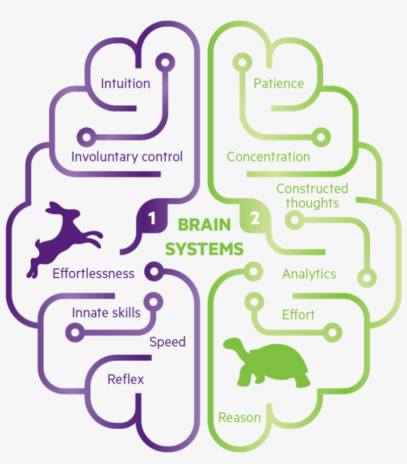 Bildresultat För System 1 System - Kahneman Thinking Fast And Slow, transparent png download