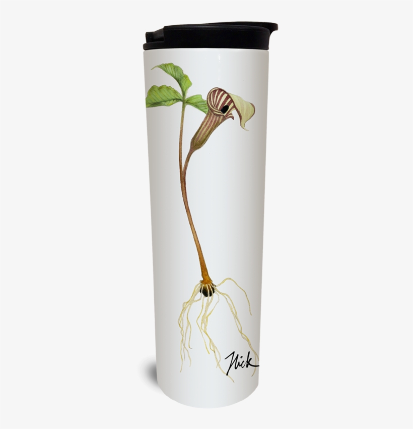 Jack In The Pulpit Tumbler - Watermark, transparent png download