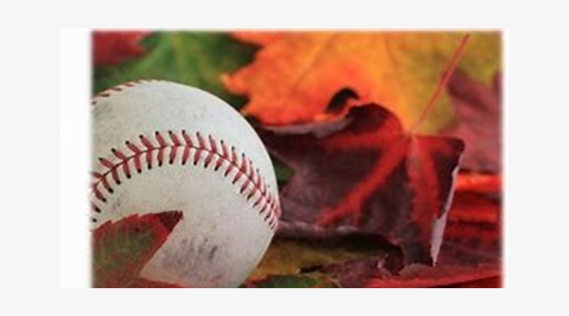 2018 Fall Ball, transparent png download