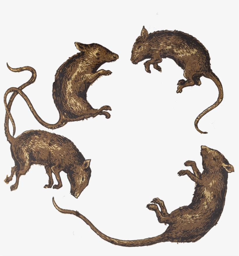 The Museum Of English Rural Life On Twitter - Mouse, transparent png download