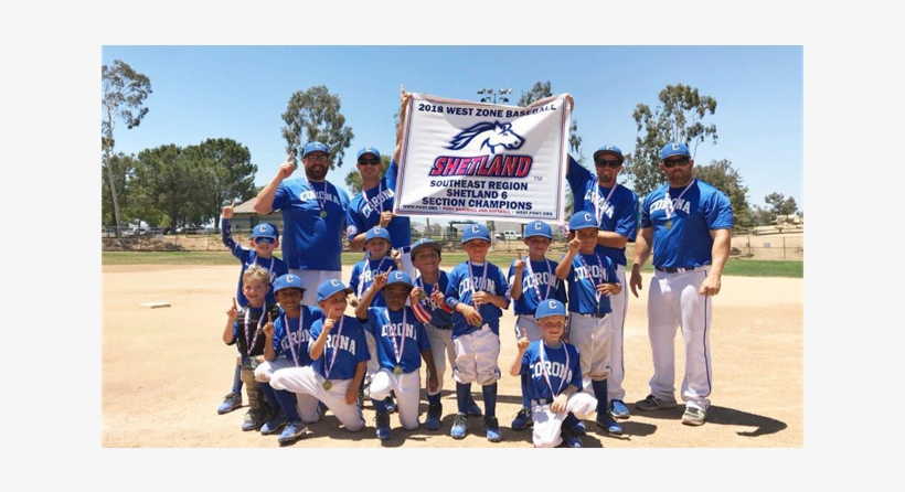 Congratulations 2018 6u Section Champions, transparent png download