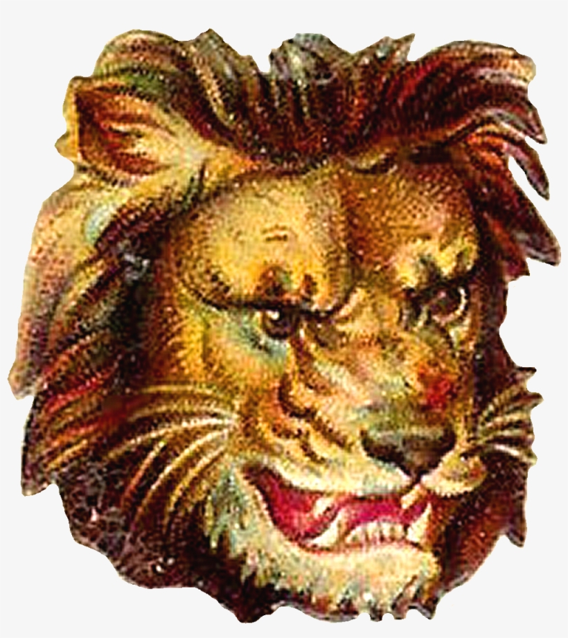Lion Clipart Portrait - Portrait, transparent png download