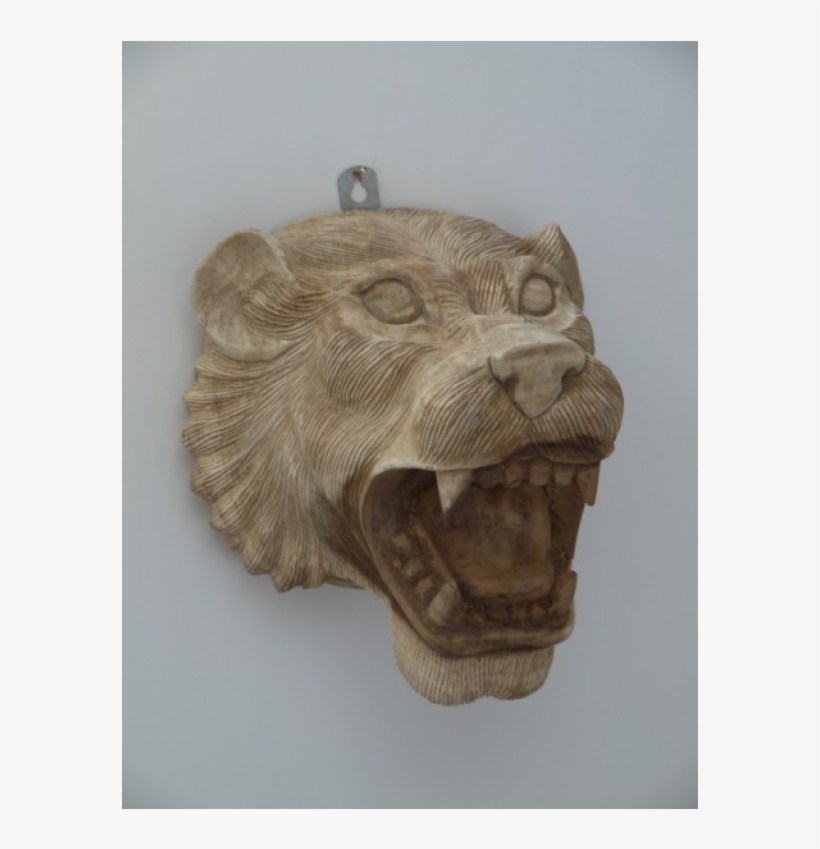 Jaguar, transparent png download
