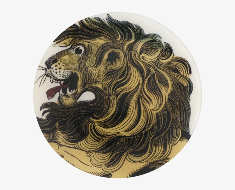 Lion's Mane, transparent png download