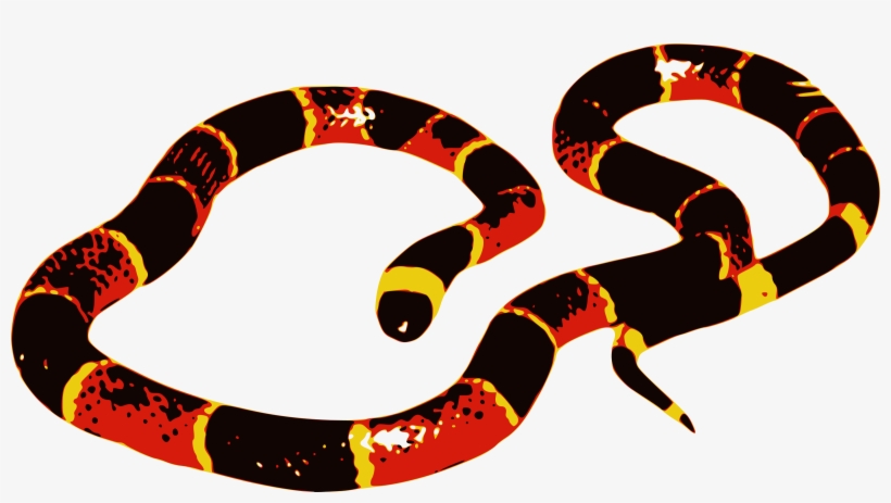 Big Image - Coral Snake Clip Art, transparent png download