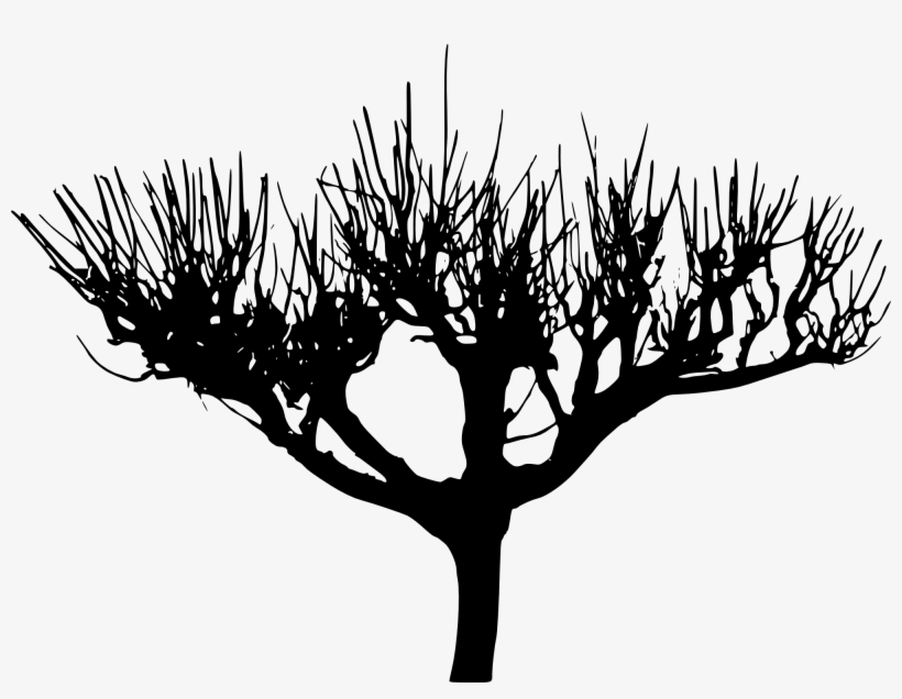 Free Download - Tree Silhouette 2, transparent png download