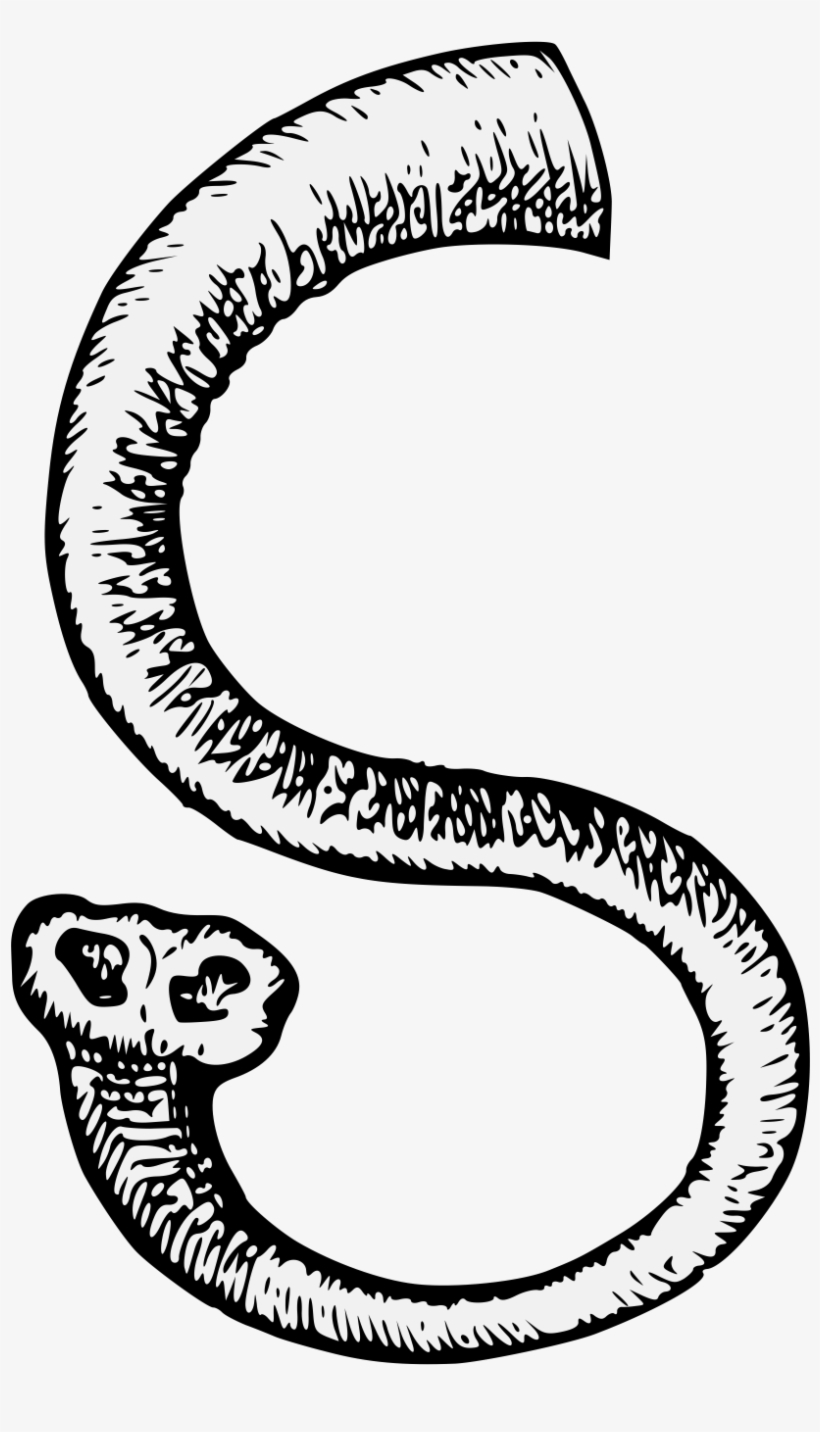 Details, Png - Elephant Trunk Line Arts, transparent png download