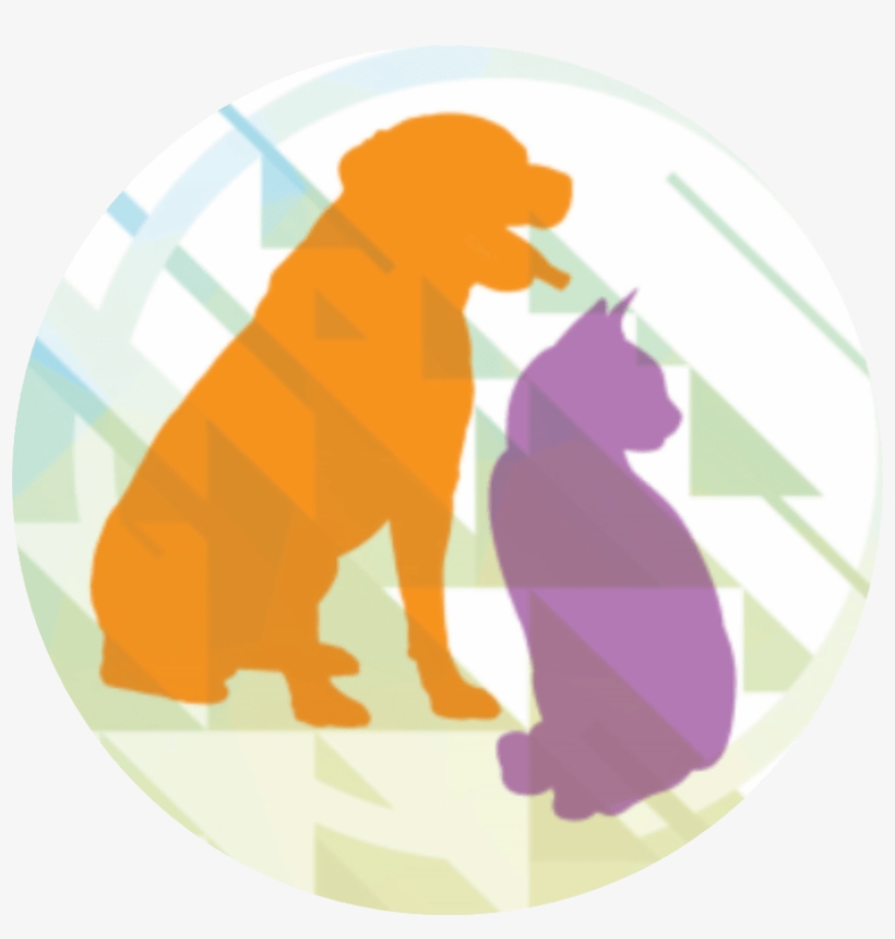 Sdma - Dog–cat Relationship, transparent png download