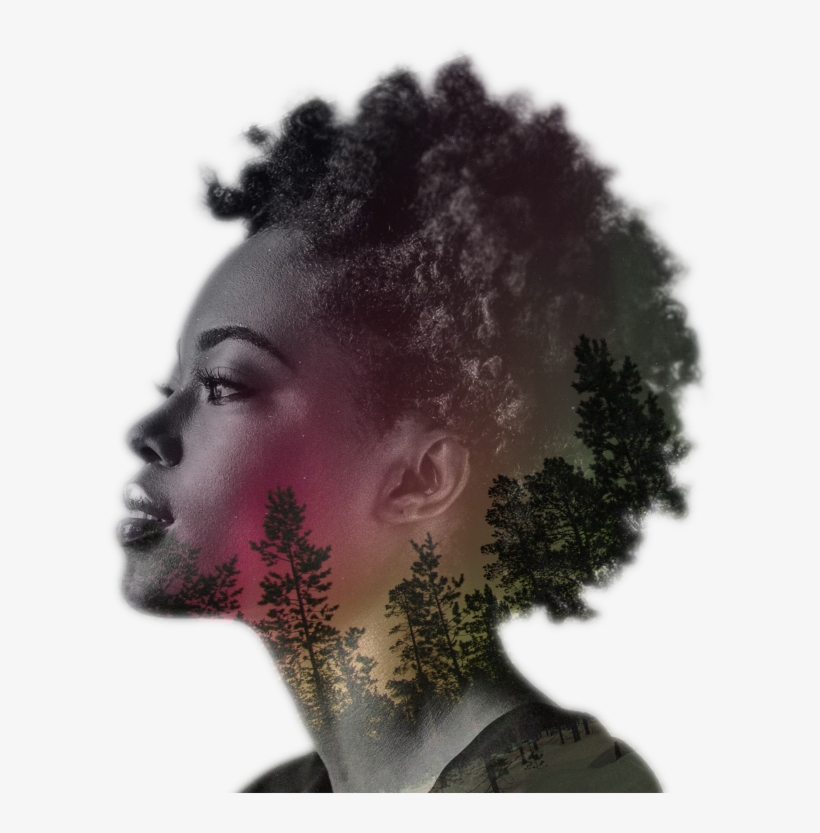 We Talked To Amazing Women From Around The Globe About - Into The Woods Pillow Sham By Kristina Jovanova, transparent png download