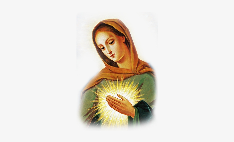 Menu - Flame Of Love Of The Immaculate Heart Of Mary: The, transparent png download