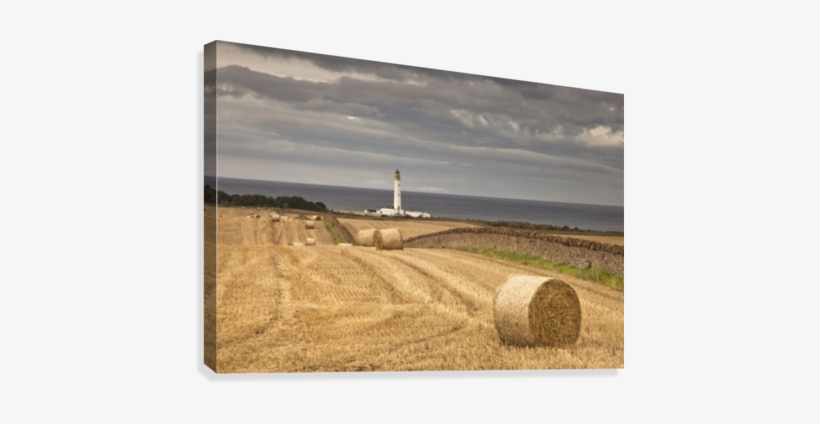 Barns Ness Lighthouse Along The Coast And Hay Bales, transparent png download