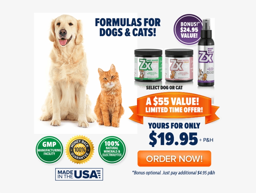 An Error Occurred - Cat, transparent png download