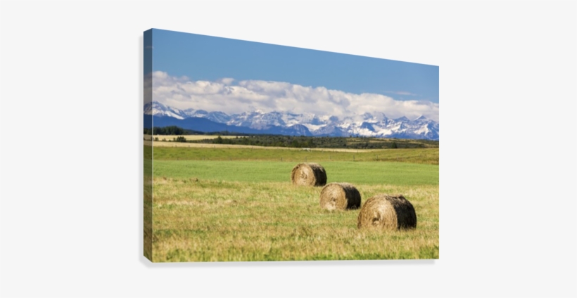 Three Hay Bales In A Field With Mountains In The Background - Posterazzi Three Hay Bales In A Field, transparent png download
