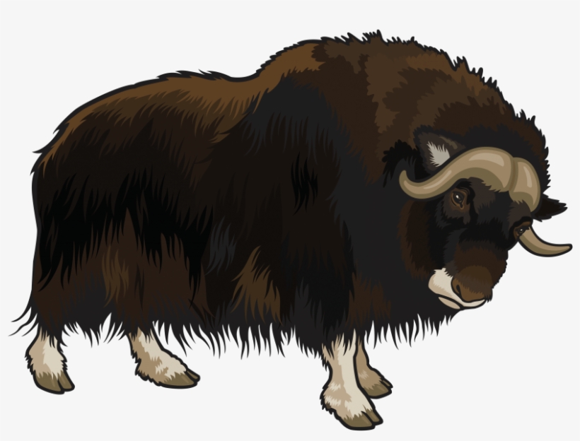 Free Png Buffalo Png Images Transparent - Buffalo Png, transparent png download