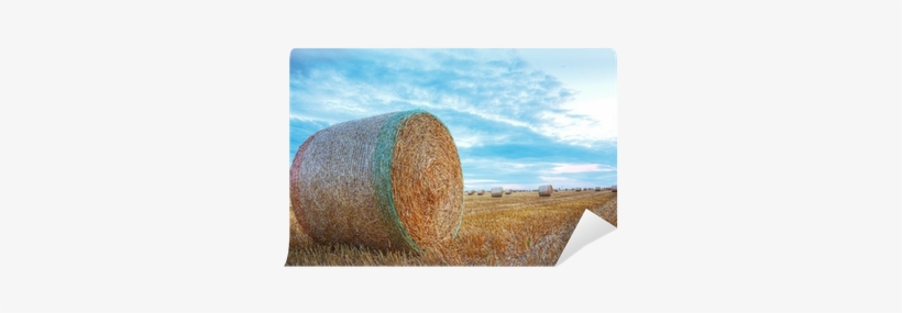 Hay, transparent png download
