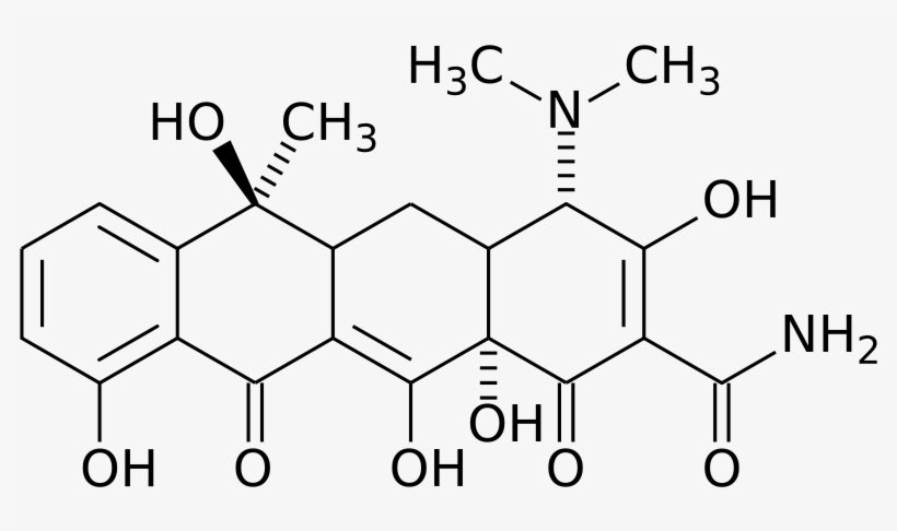 Tetracycline Side Effects - 6 Demethyl 6 Deoxytetracycline, transparent png download