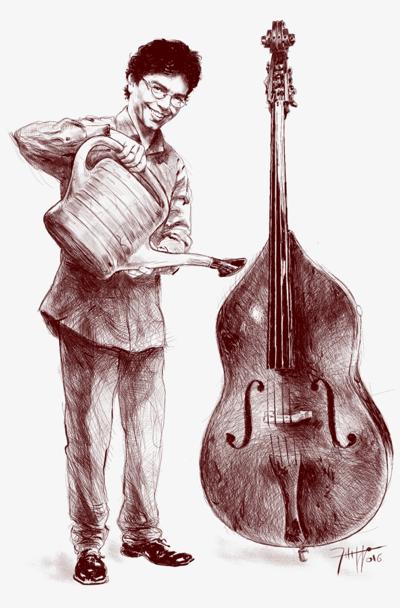 Double Bass, transparent png download
