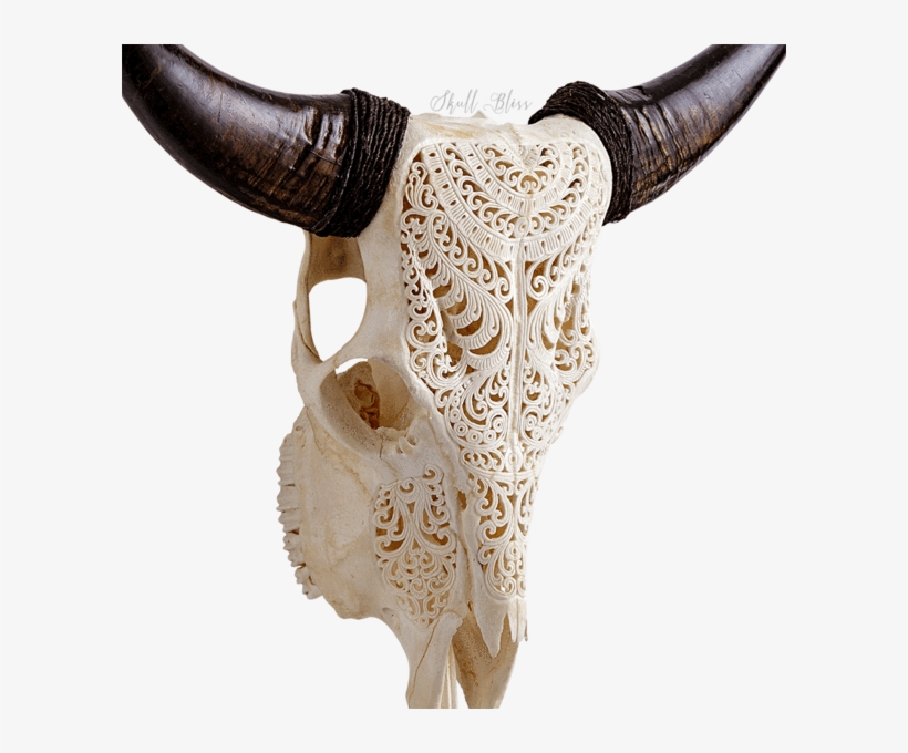 Carved Cow Skull Xl Horns - Cattle, transparent png download