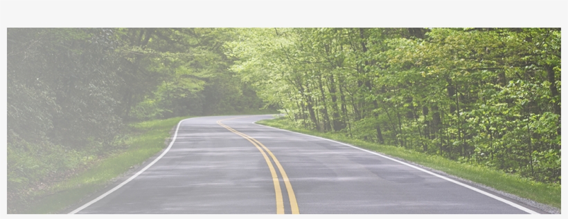 Winding Road Banner - Road With Trees On Both, transparent png download