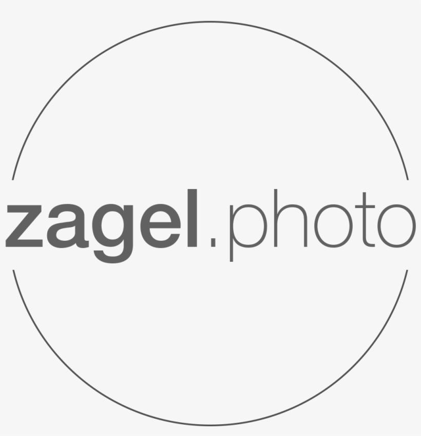 Circle, transparent png download