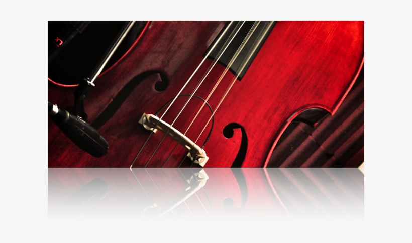 I Am An Guitar, Double Bass And Electric Bass Teacher - Teacher, transparent png download