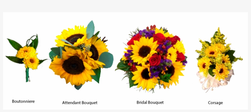 More Views, transparent png download