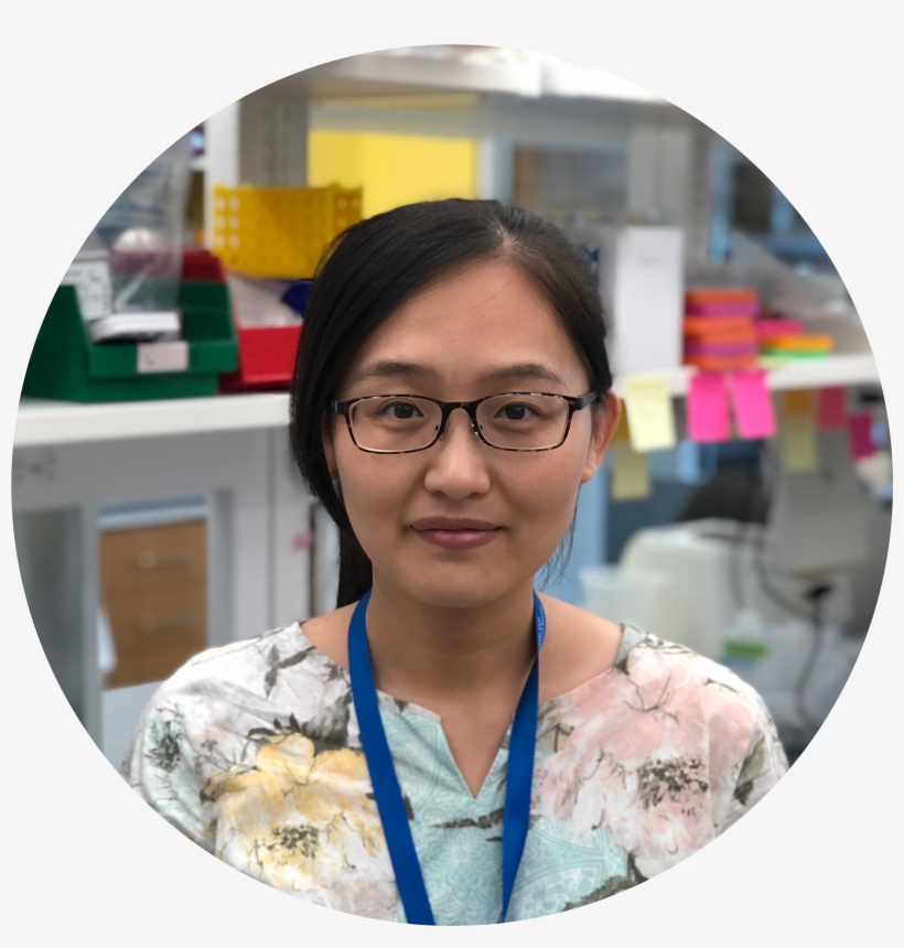 I Am A Visiting Research Scholar In Dr - Girl, transparent png download