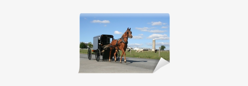 Philadelphia Amish Village Hotel, transparent png download