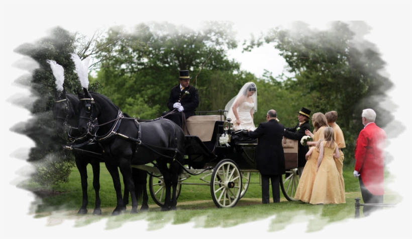 It Was Usually Drawn By One Or Two Horses - Horse And Buggy, transparent png download