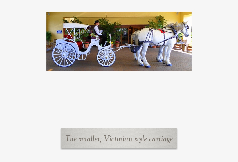 Prev Next - Horse, transparent png download