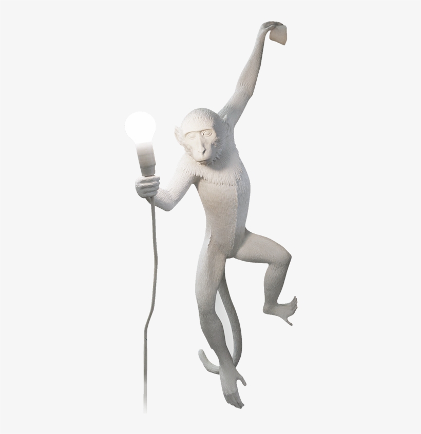 Seletti Monkey Lamp, Hanging-0 - Seletti Monkey Lamp Hanging, transparent png download
