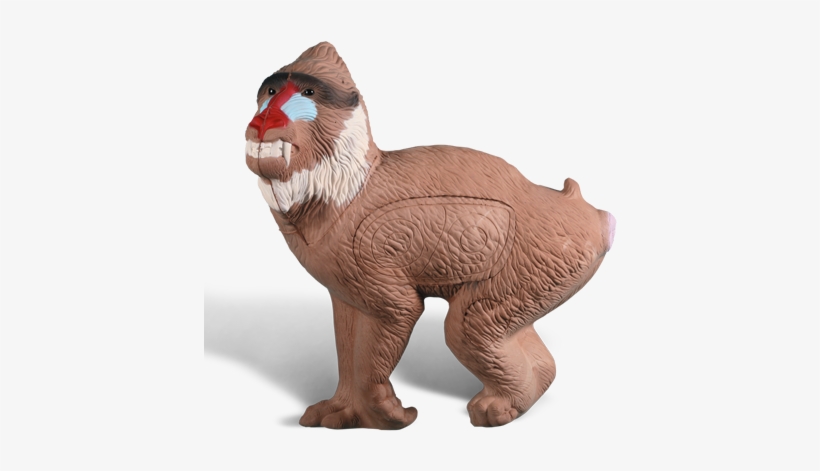 Baboon - Rinehart Target, transparent png download