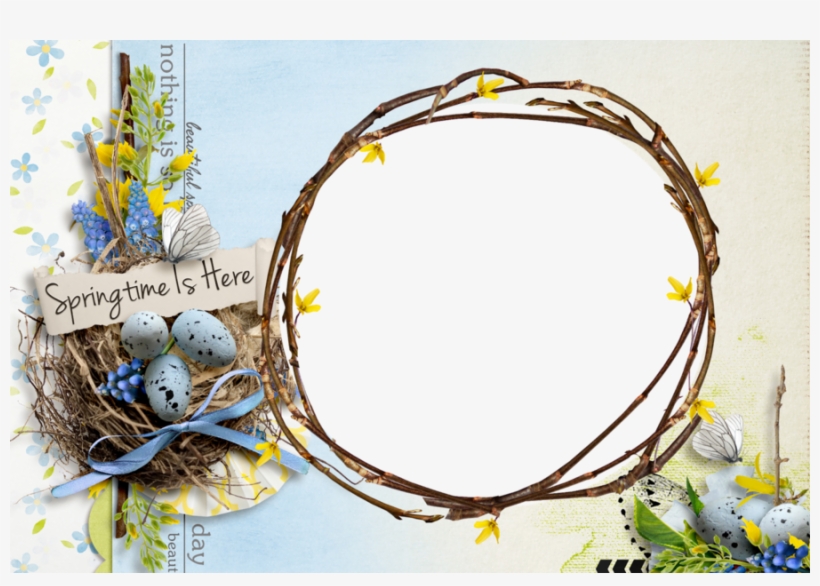 .net, transparent png download