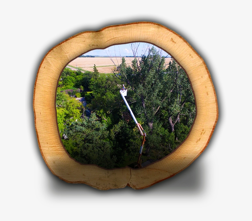 Property Maintenance - Cypress Family, transparent png download