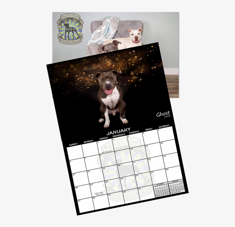 Boxer, transparent png download