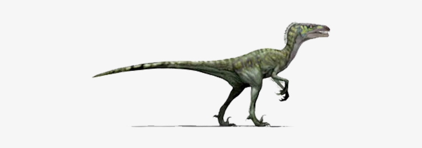 Baboon In "raptor Position\ - Jurassic Fight Club Velociraptor, transparent png download
