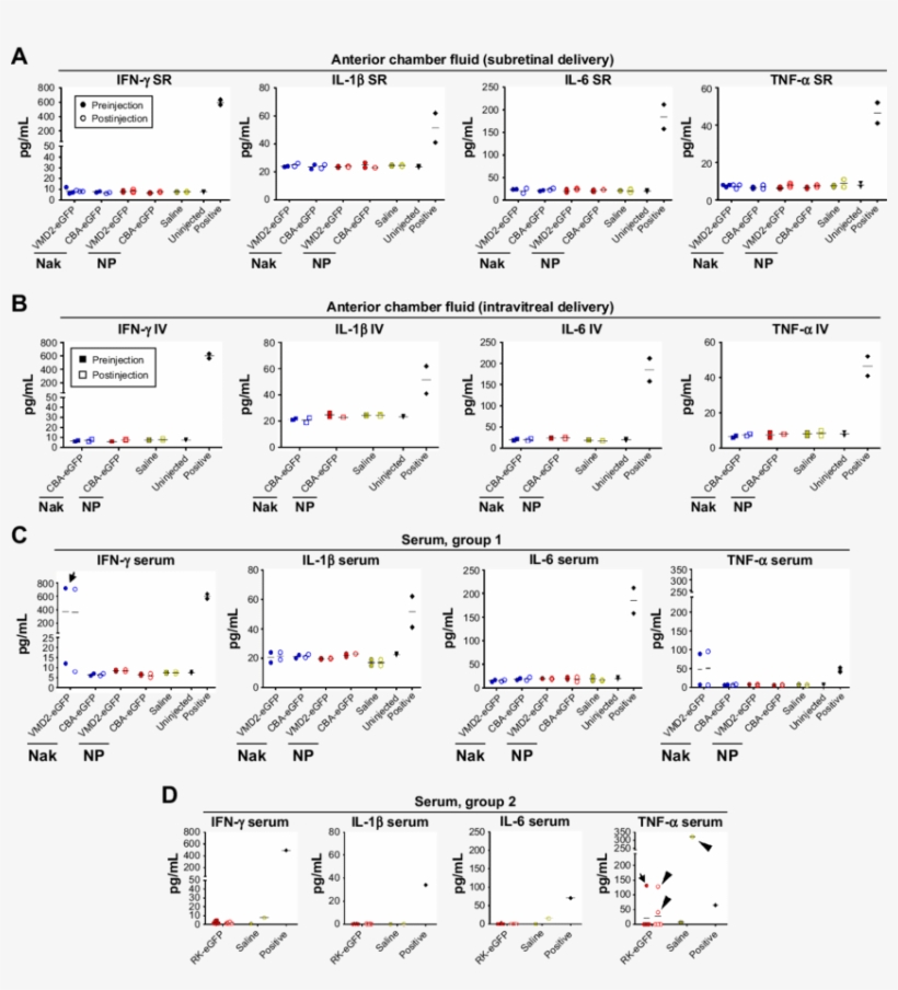 Nflammatory Cytokines Are Not Upregulated By Np Injection - Graphics, transparent png download