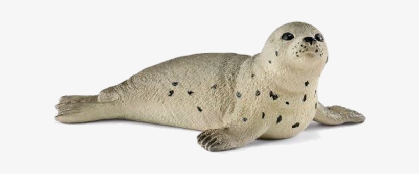 Schleich Grey Seal, transparent png download