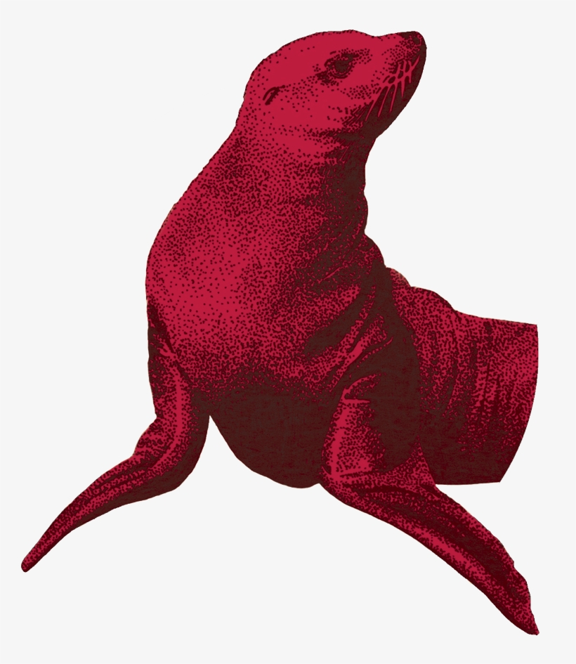Red-seal - Red Seal, transparent png download