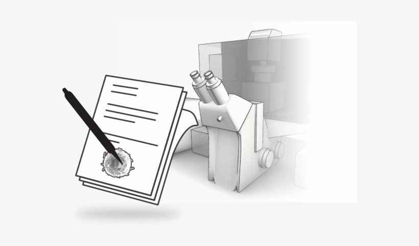 Illustration, transparent png download