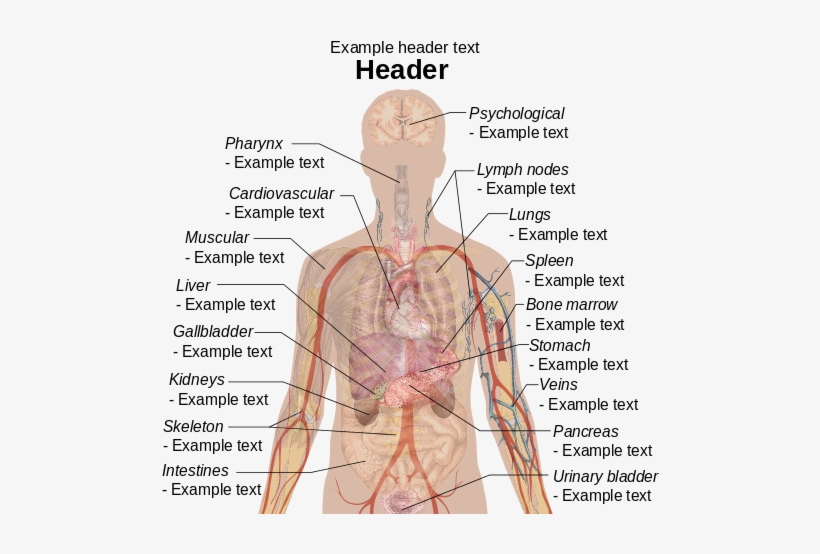 265 × 240 Pixels - Anaphylaxis Allergy, transparent png download