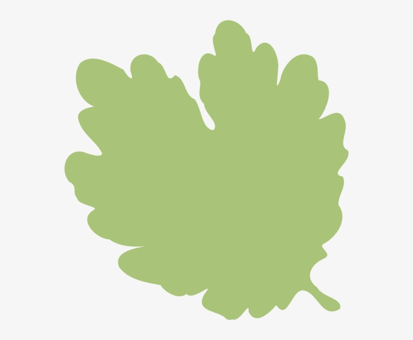 Heart Shaped Leaf Clip Art At Clker - Different Shapes Of Leaves Clipart, transparent png download