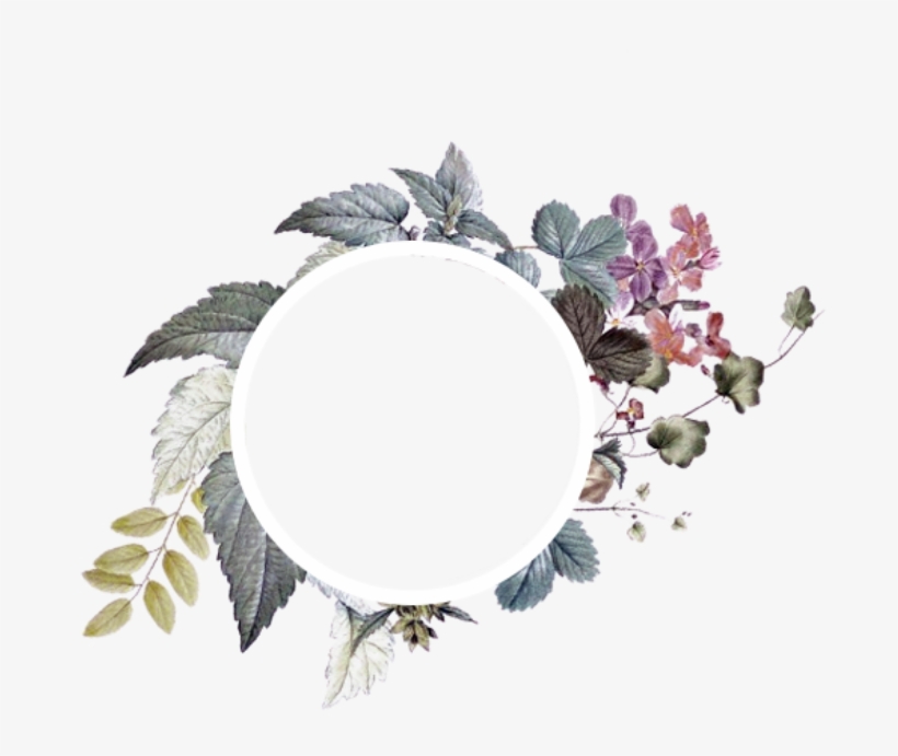 Picsart Photo Studio, transparent png download