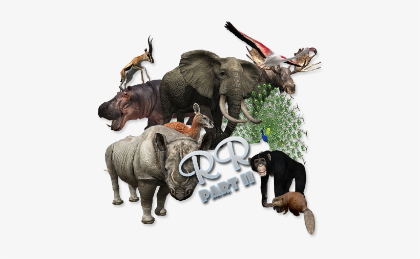 Radical Remake Zoo Tycoon 2 Part B - Zoo Tycoon 2 Radical Remake, transparent png download