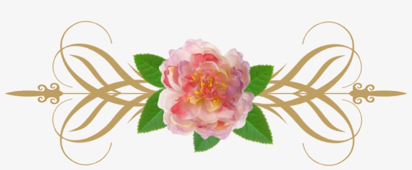 Baby Features - Photograph, transparent png download