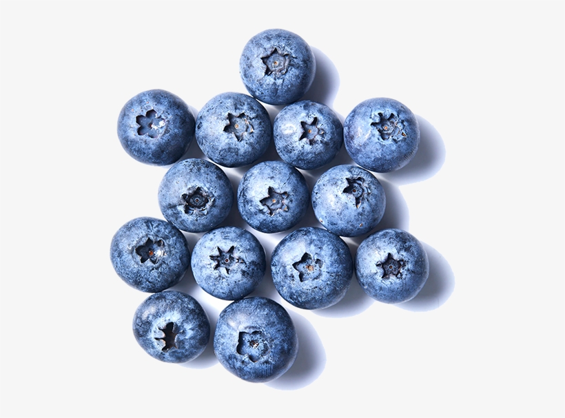 Blueberry Individuallg Flipped - Flipped, transparent png download