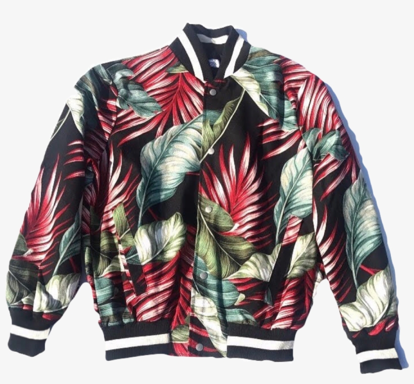 Black & Red Leaf - Fear Of God Jungle Shorts, transparent png download