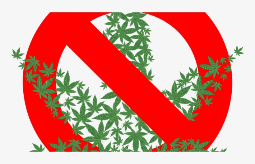 It Could Be A Customer Call Or Email Telling You She - Illustration Of No Pot Allowed On White Apple Iph, transparent png download